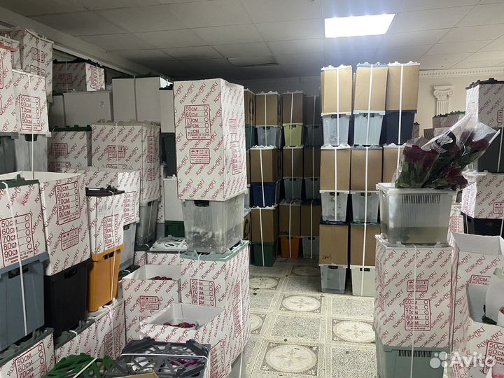 Цветы букеты 101 роза