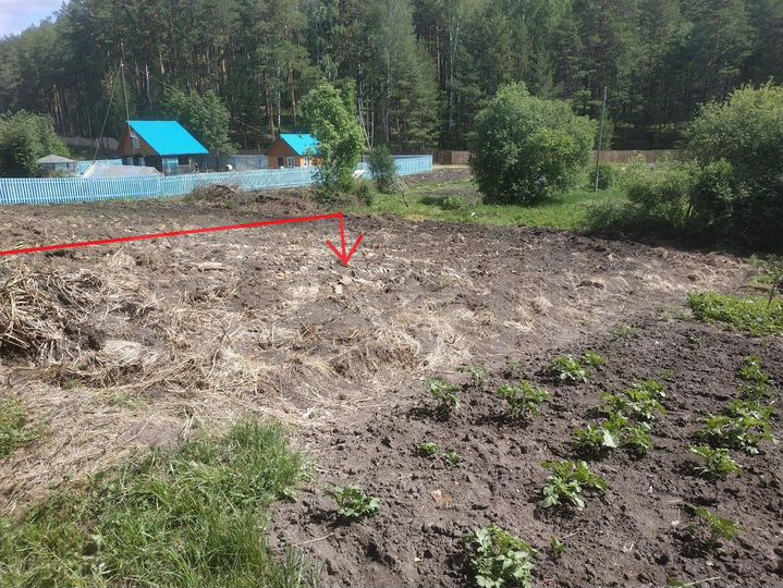 Участок 7,3 сот. (СНТ, ДНП)