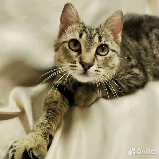 Ивочку никто не замечает