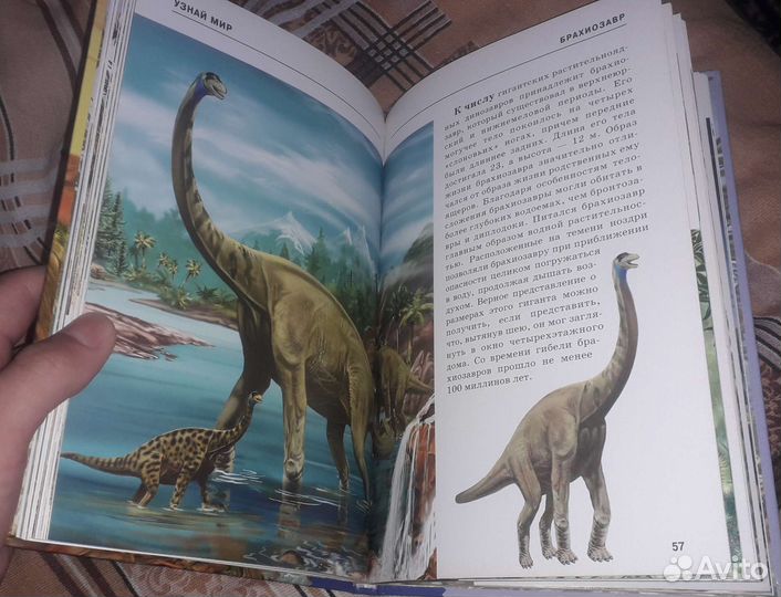 Динозавры. Школьный путеводитель