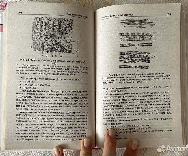 Пособие для подготовки к ЕГЭ/ОГЭ по биологии
