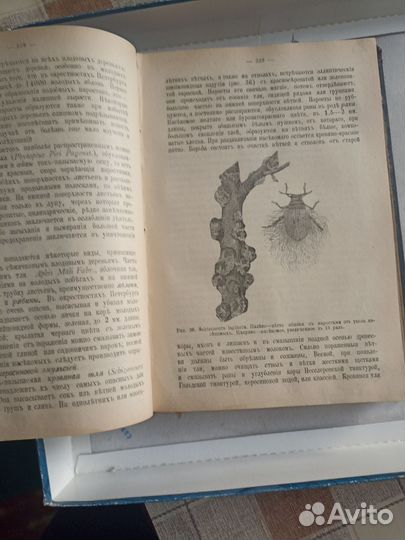 Старая книга