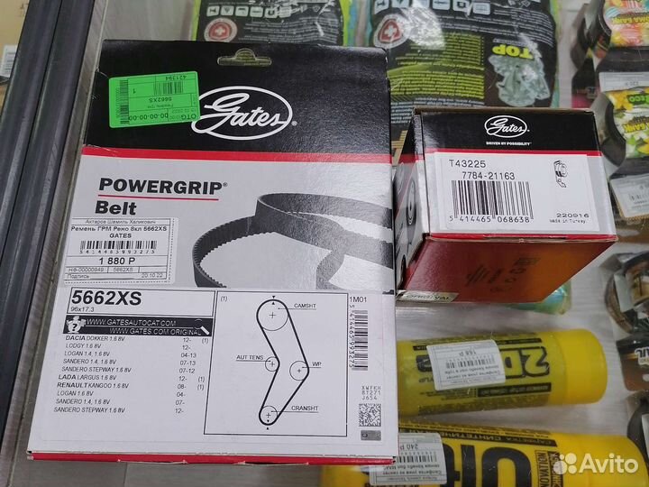 Комплект грм для Лада Largus (1,6) 8 V, Renault