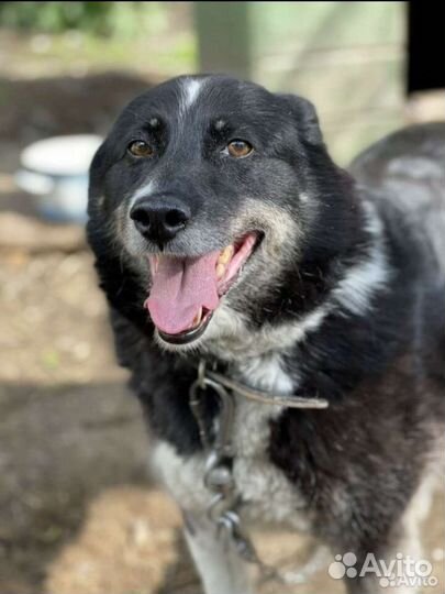 Оливия- это чудо девочка