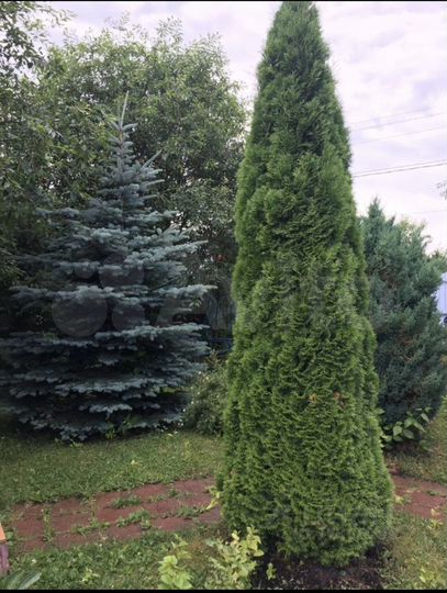 Участок 6,7 сот. (СНТ, ДНП)
