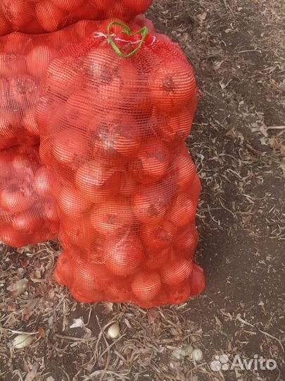 Продам картофель,лук,перец болгарский
