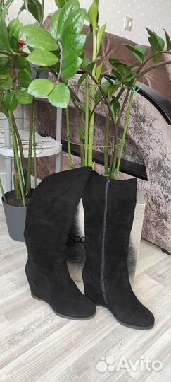 Сапоги женские Sprincway