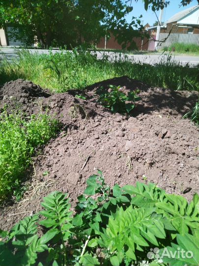 Перегной,чернозем отличный ЗИЛ 6Т,камаз 15т,газель