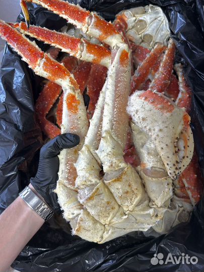 Сахалинские Клешни Краба Камчатского Л5