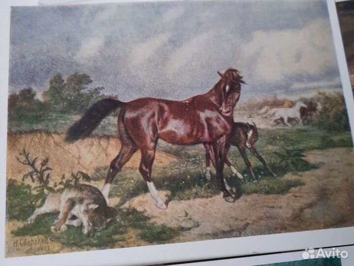 Открытки СССР 50-60 года