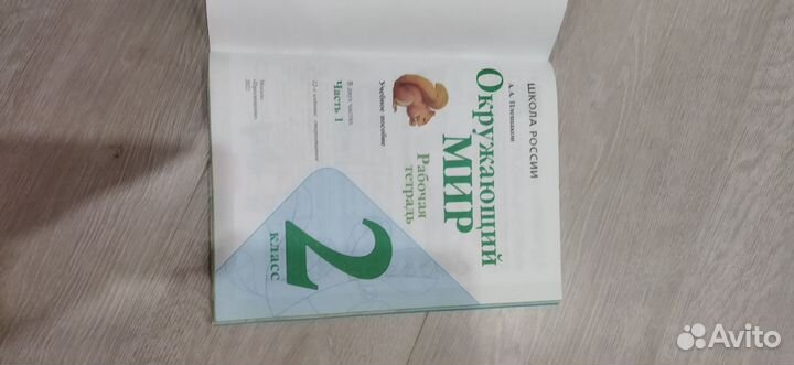 Рабочая тетрадь 2 класс окружающий мир