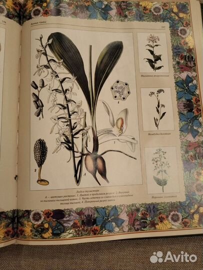 Подарочная книга русский лес: 