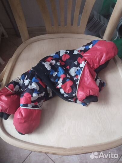 Одежда для маленьких собак бу