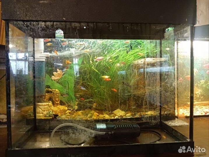 Аквариум с фильтром
