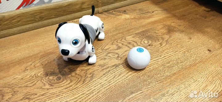 Робот собака Silverlit Дэкел Джуниор
