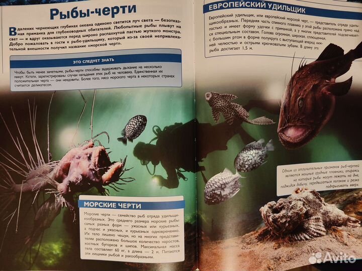 Энциклопедия 