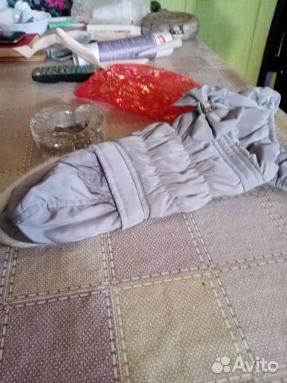 Одежда для маленьких собак