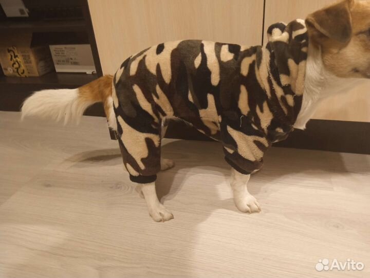 Продам комбинезон для собаки