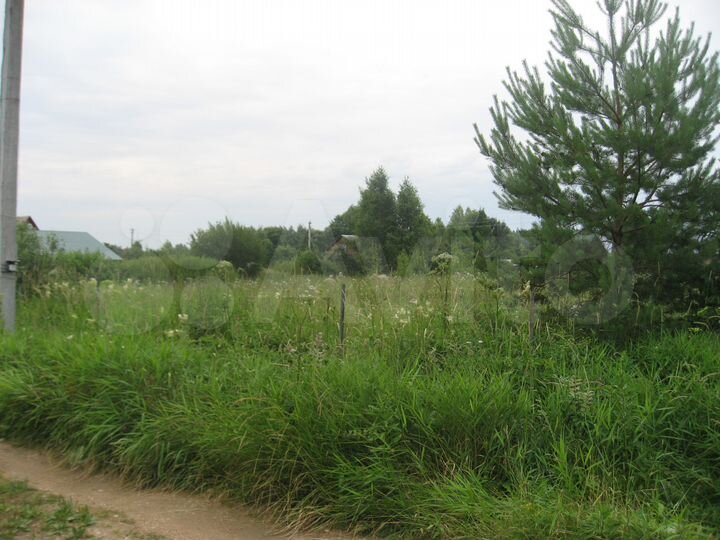 Участок 24 сот. (СНТ, ДНП)