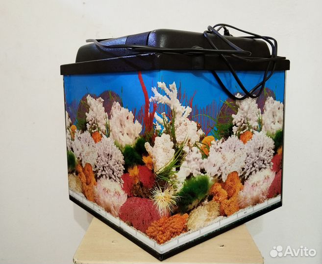 Аквариум