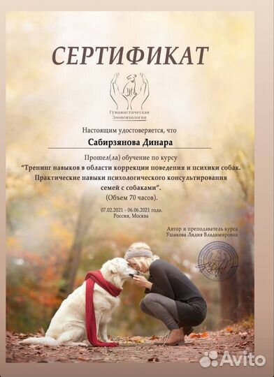 Кинолог / зоопсихолог