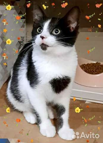 Европейская