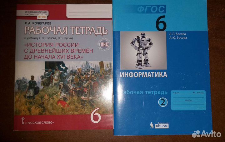 Рабочая тетрадь 6 класс