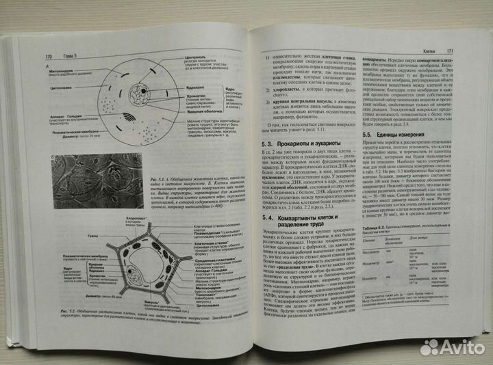 Биология. В 3-х томах / Д. Тейлор, Н. Грин