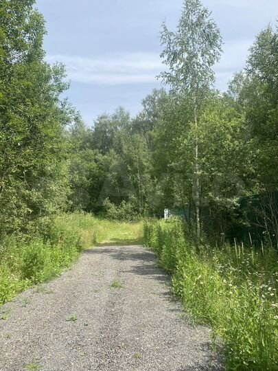 Участок 12 сот. (ИЖС)