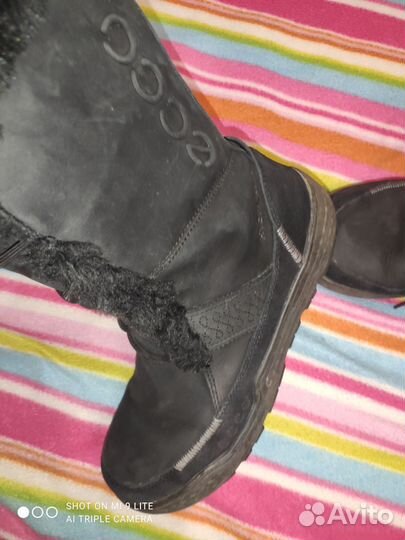 Сапоги зимние ecco 37