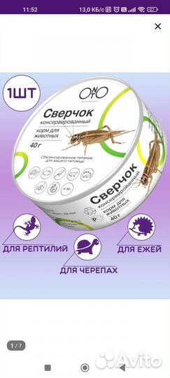Консервированные сверчки