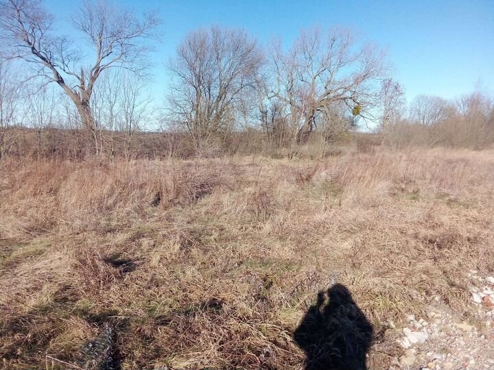 Участок 10,9 сот. (ИЖС)