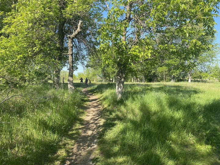 Дом 120 м² на участке 12 сот.