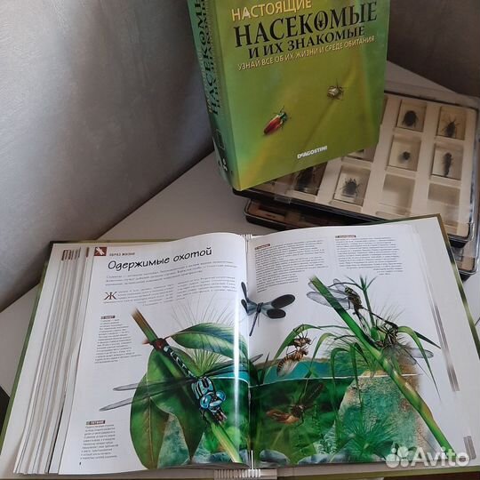 Коллекция Деагостини 