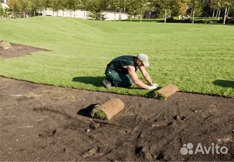 Благоустройство участка под ключ