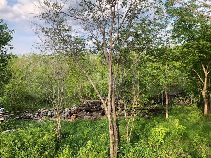 Участок 12 сот. (СНТ, ДНП)