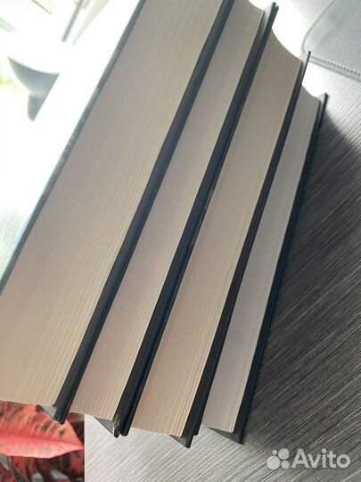 Акунин Б., Домогатская Н. (дополнено)