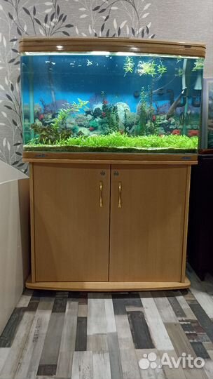 Аквариум с тумбой jebo