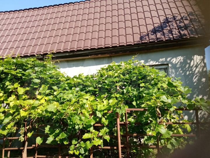 Дача 45 м² на участке 5,3 сот.