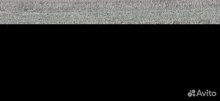 Овцематки и пере-ярки