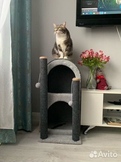 Когтеточка домик для нескольких кошек