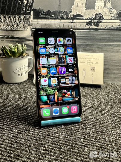 iPhone Xs, 64 ГБ