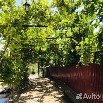 12авг24 Автобусный тур в Абхазию/рэ6004.мандсад