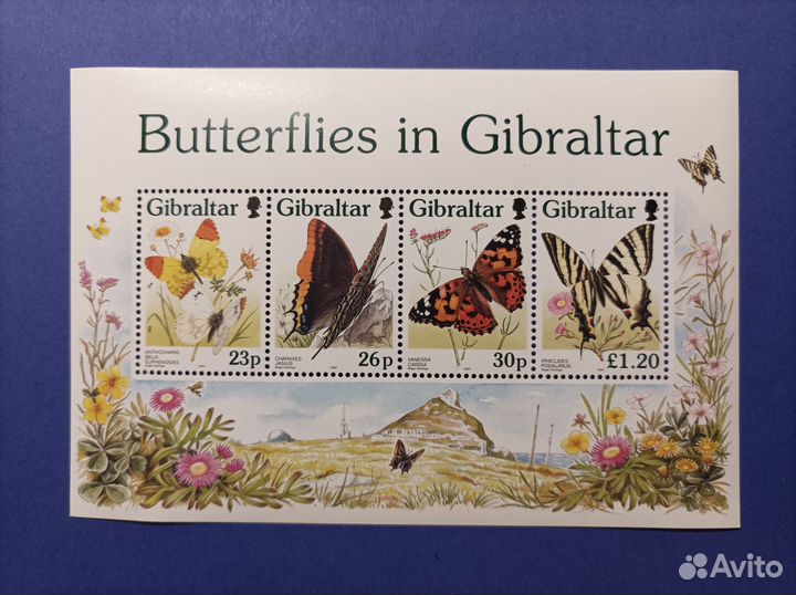 Почтовые марки бабочки
