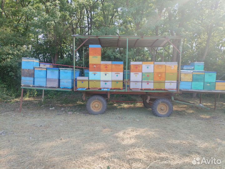Ульи прицепы