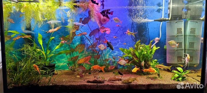 Аквариум с тумбой