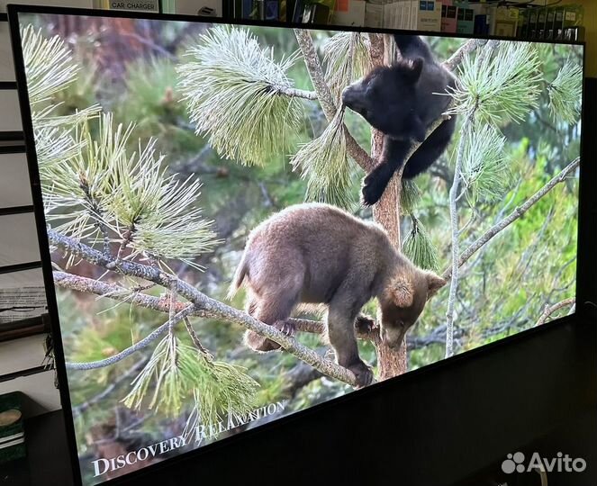 Телевизор LG Oled55b9pla