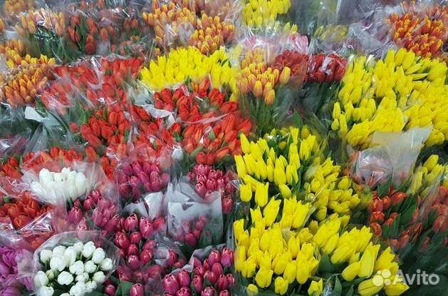 Тюльпаны к 8 марта