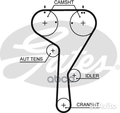 Ремень грм 5680XS Gates