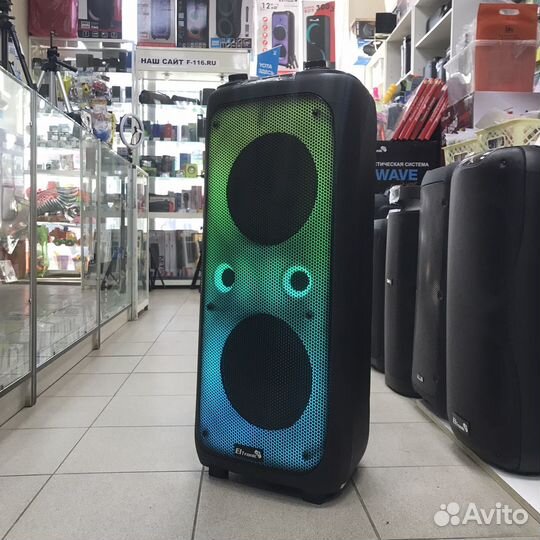 Караоке система колонка 100w беспроводная EL 20-62
